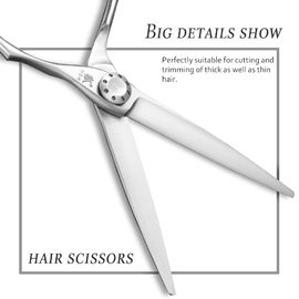 Silver Special Hairdressing Scissors Japanese 440C Steel Engraving Handle