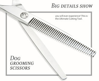 Beautiful Pet Grooming Scissors High Sharpness Silver Color Precise Cutting